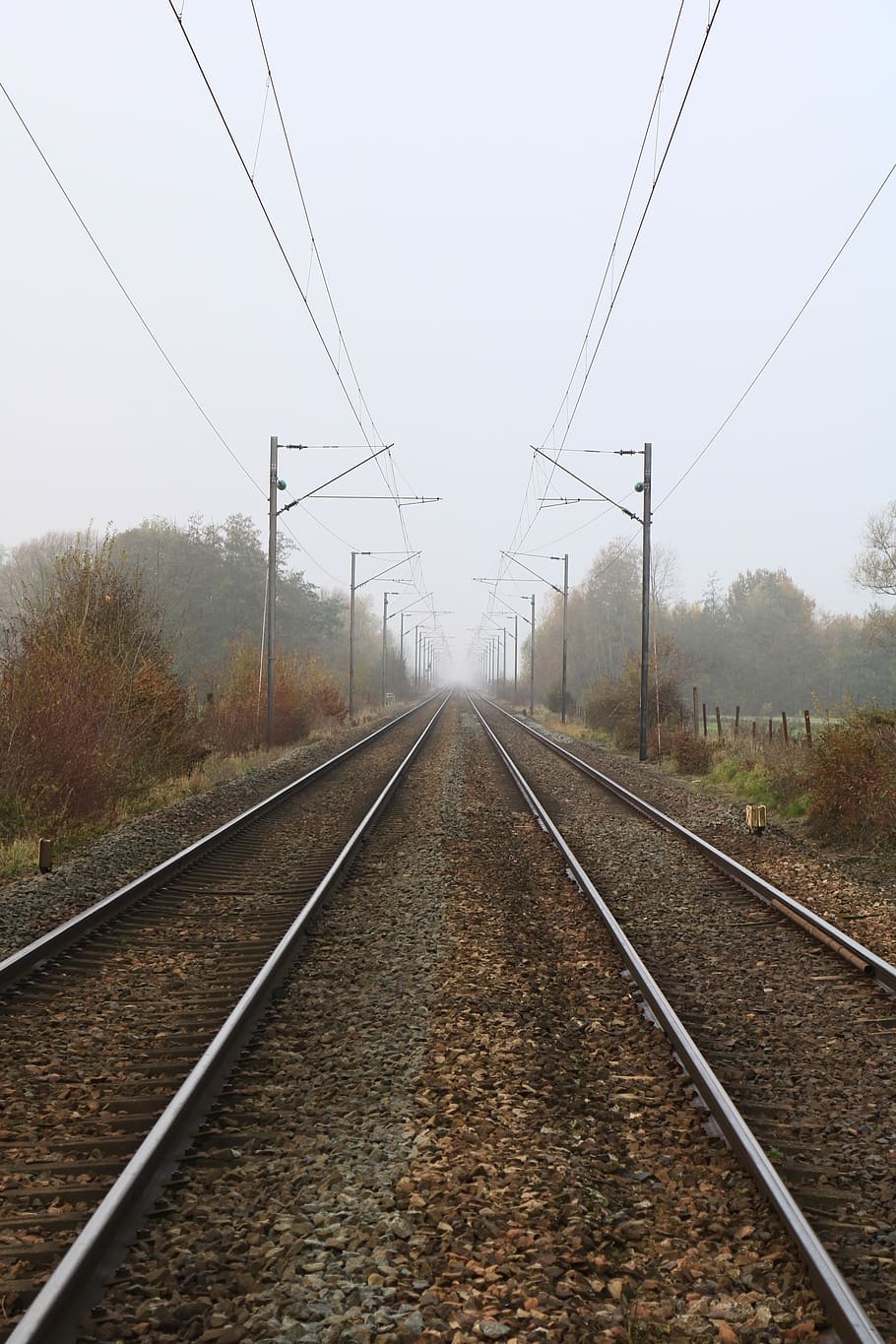 rails, railroad, railway, tracks, mist, autumn, transportation, travel, catenary, perspective