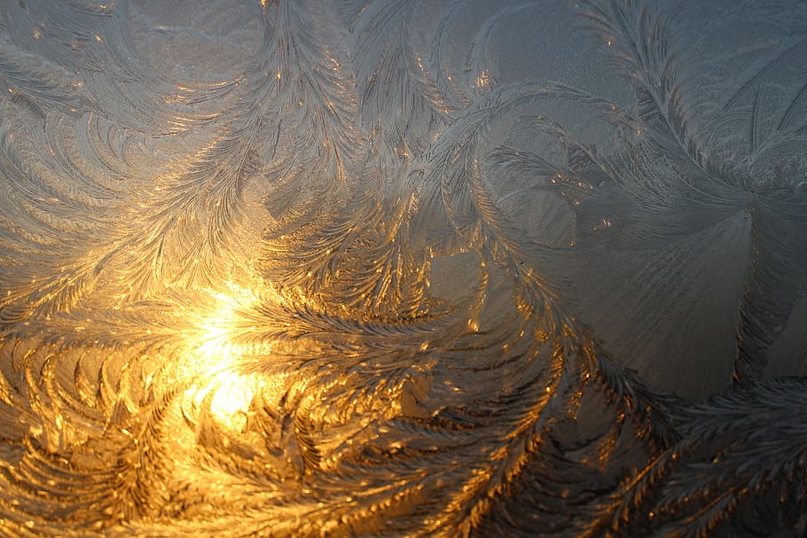 clear, floral, etched, glass panel, Hardest, Winter, Cold, Frost, eiskristalle, iced