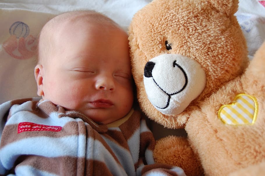 Bebé, azul, marrón, traje de dormir con cremallera, durmiendo, al lado, oso, felpa, juguete, en azul