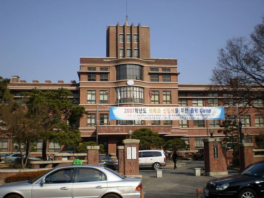 kyungpook, national, university, school, medicine, south, korea, Kyungpook National University, School of Medicine, Daegu, South Korea