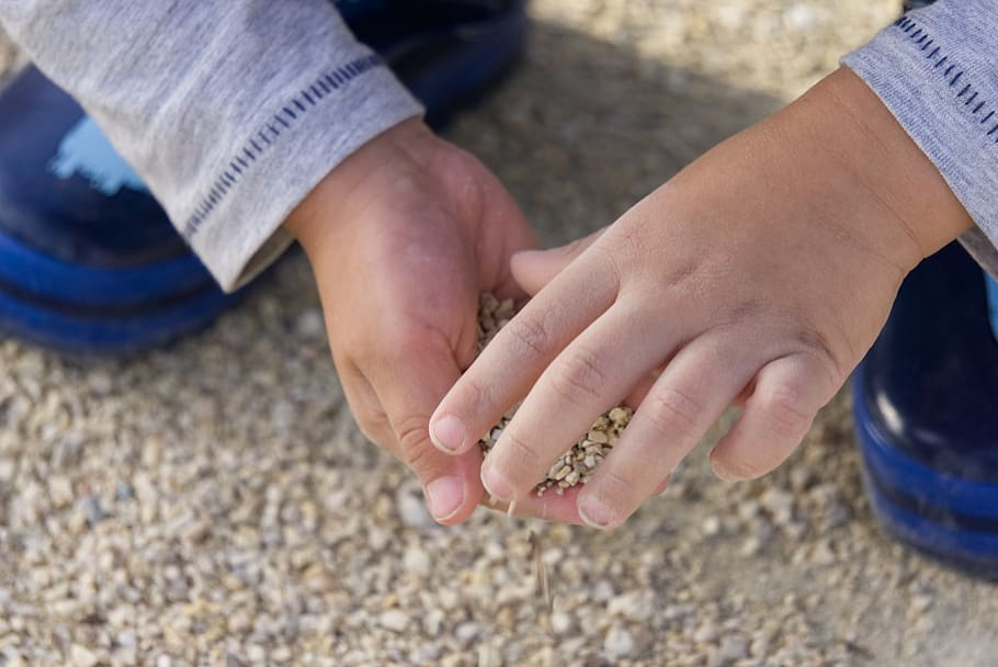 hand, child, play, sand, pebble, child's hand, small child, sweet, cute, children