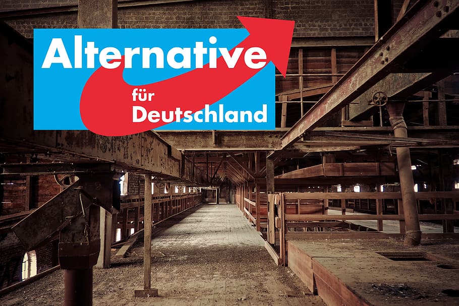 alternative for germany, afd, völkisch-nationalist, racist, anti-semitic, new rights, grouping, right, choice, bundestagswahl
