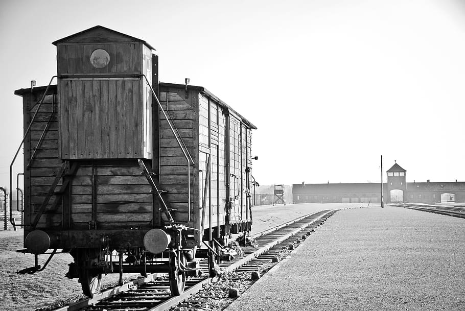 фотография в оттенках серого, поезд, железные дороги, Освенцим, Биркенау, война, Холокост, Польша, тюрьма, лагерь