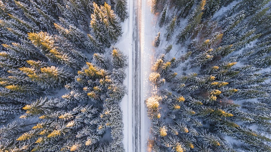 nature, landscape, aerial, woods, forest, road, snow, winter, cold, weather