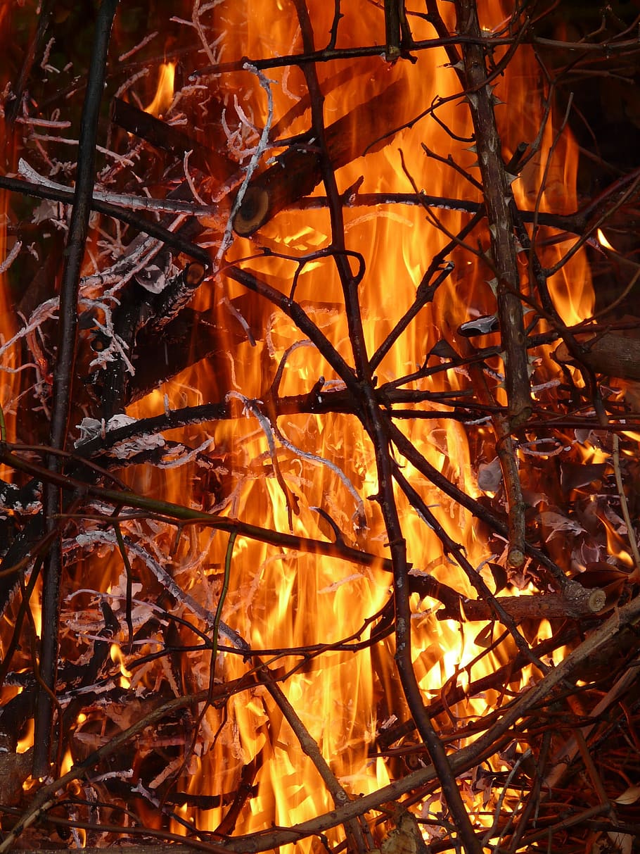 Fire, Flame, Brand, Burn, Firelight, fire, flame, embers, hot, branches, sticks