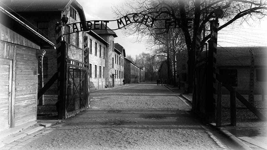 grey, scale photo, old, houses, auschwitz, history, the museum, concentration camp, architecture, built structure
