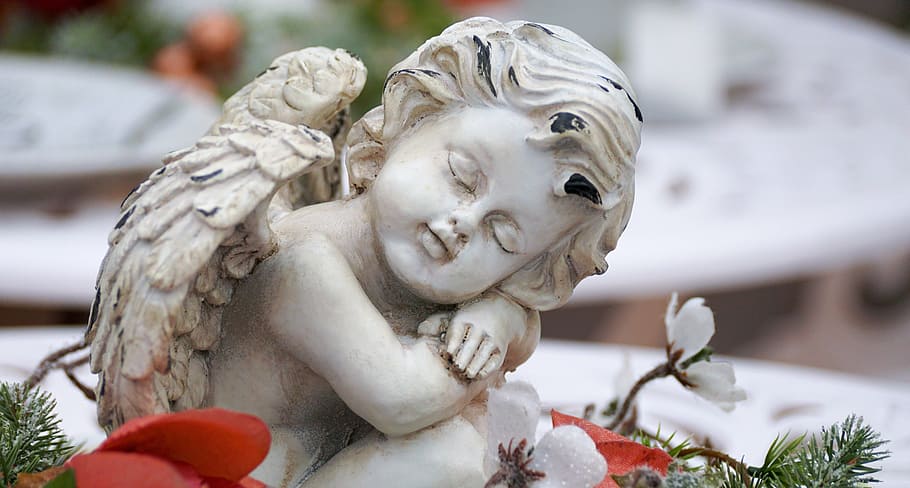 closeup photography cherub, angel, wing, figure, deco, flowers, decoration, table decoration, joy, christmas