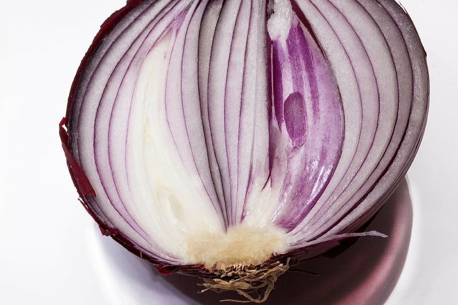 onion, allium cepa, red onion, sliced, half, half an onion, sulfide containing, essential oils, raw, antibacterial