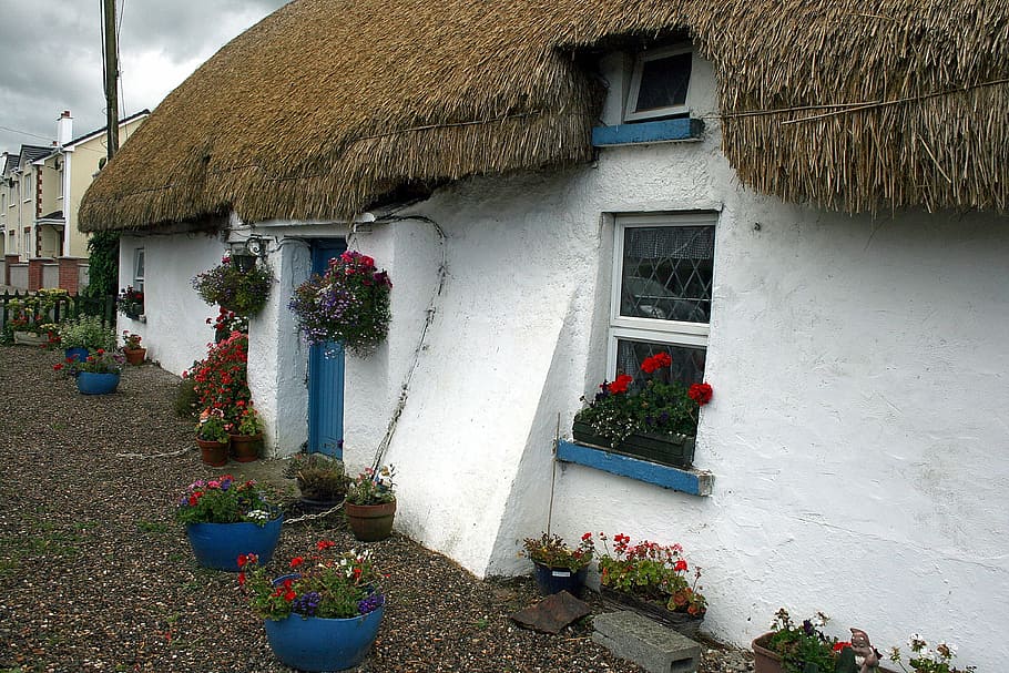 white, paint, concrete, house, ireland, door, ballyedmond, home, thatch, thatched roof