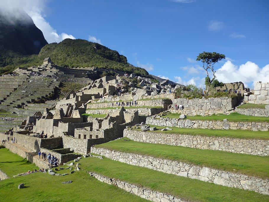 ペルー, クスコ, マチュピチュ, 石, 風景, パイサジモ, 建築, インカ, アンデス, 山