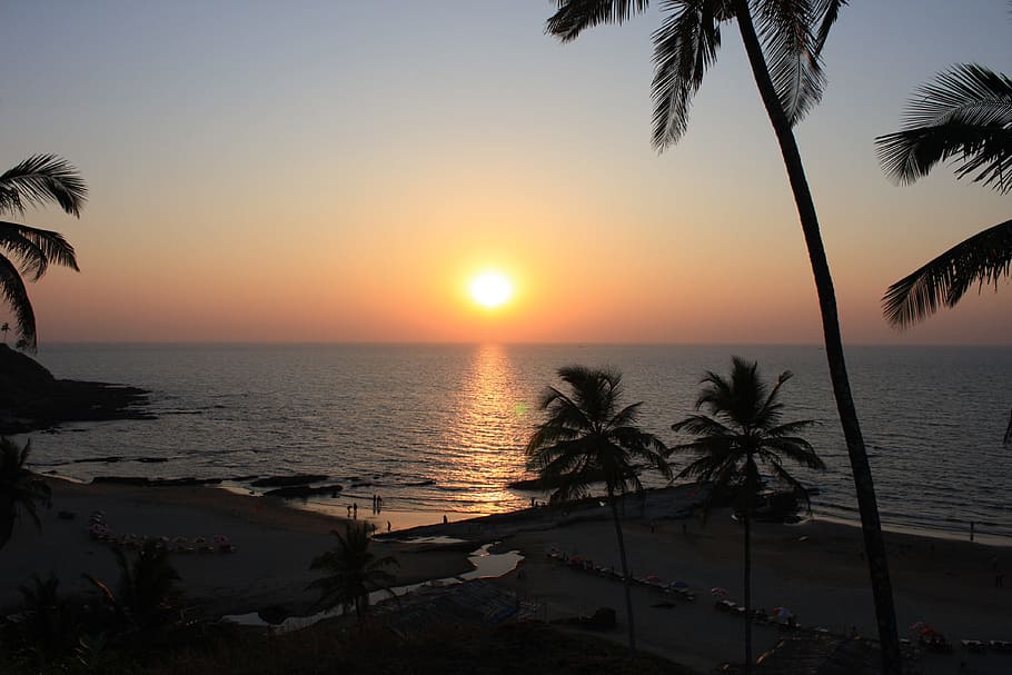 Goa, India, Playa, Puesta de sol, mar, palmera, clima tropical, naturaleza, vacaciones, verano