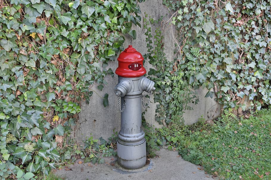 hydrant, red, metal, water, fire, fire extinguishing, water hydrant, fire hydrant, plant, growth