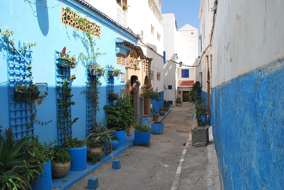 marruecos, oriente, rabat, medina, callejón, azul, fachada de la casa, centro histórico, arquitectura, casas