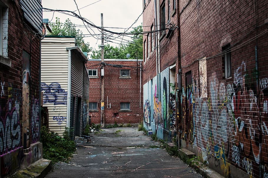 graffiti, vandalism, houses, urban, wall of bricks, street, montreal, poverty, spray paint, bricks