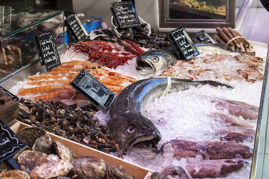 fish shop, fish, seafood, ice, market, san miguel market, madrid, shop, crayfish, hake