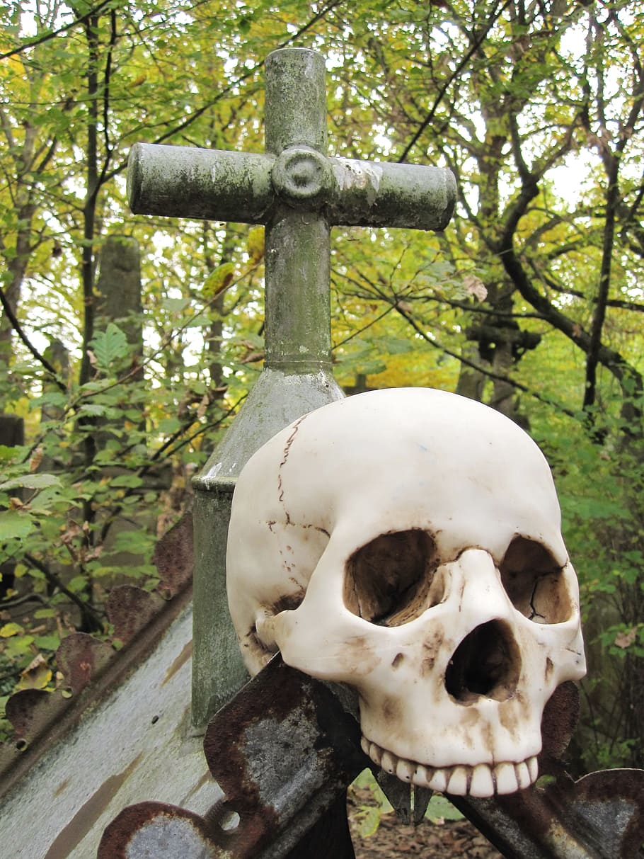 Muerte, cráneo y huesos cruzados, cráneo, extraño, hueso, horror, cripta, miedo, cruz, knochenmann