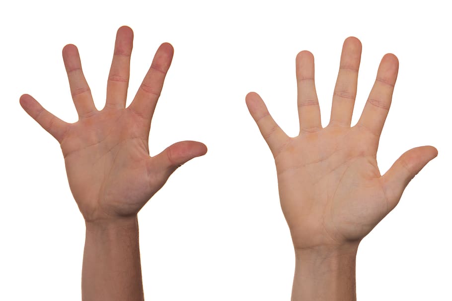 persona, mostrando, manos derechas, mano, voluntario, guía, agarre, mango, facilidad de uso, herramienta de mano