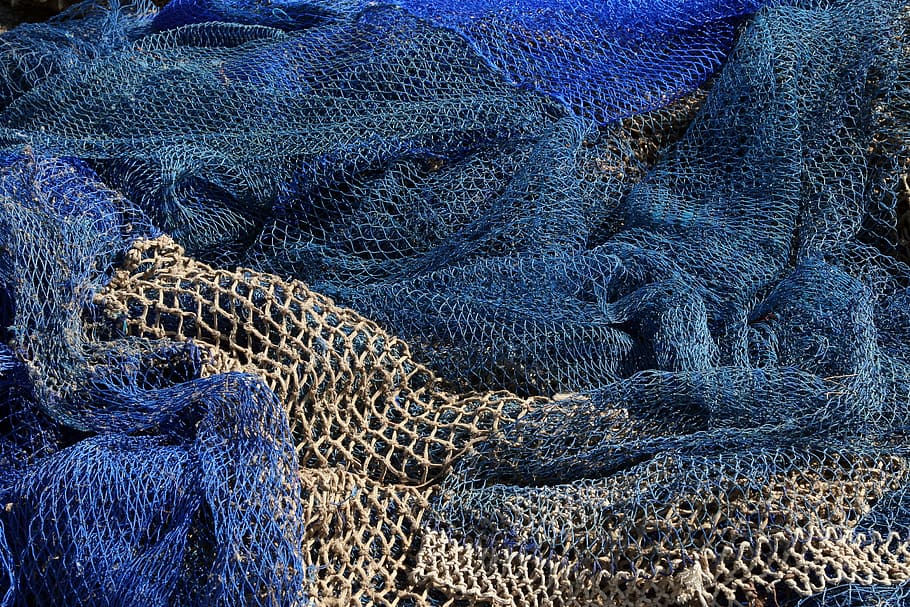 brown, blue, fish, net, fishing nets, fisheries, port, backgrounds, fishing net, fishing industry