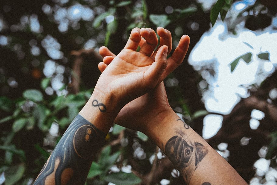 hands, tattoo, art, design, pug, dog, infinite, trees, leaves, green