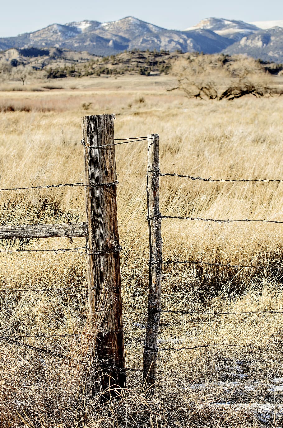 brown, wooden, pole, grass field, fence post, barbed wire, gate, ranch, rustic, montana