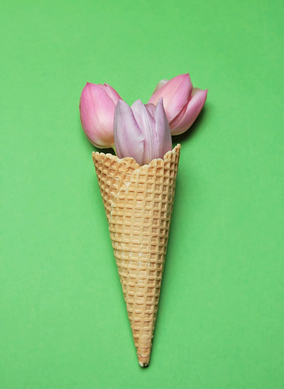 pink, rose, sugar cone, tulips, ice cream cone, waffle, flowers, green, purple, postcard