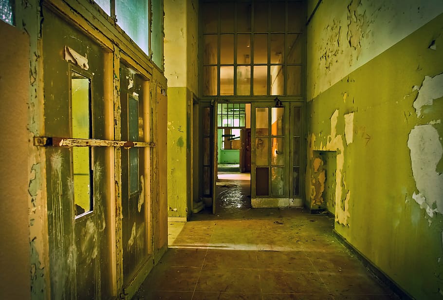 green, beige, hallway, lost places, lapsed, old, leave, ruin, building, home