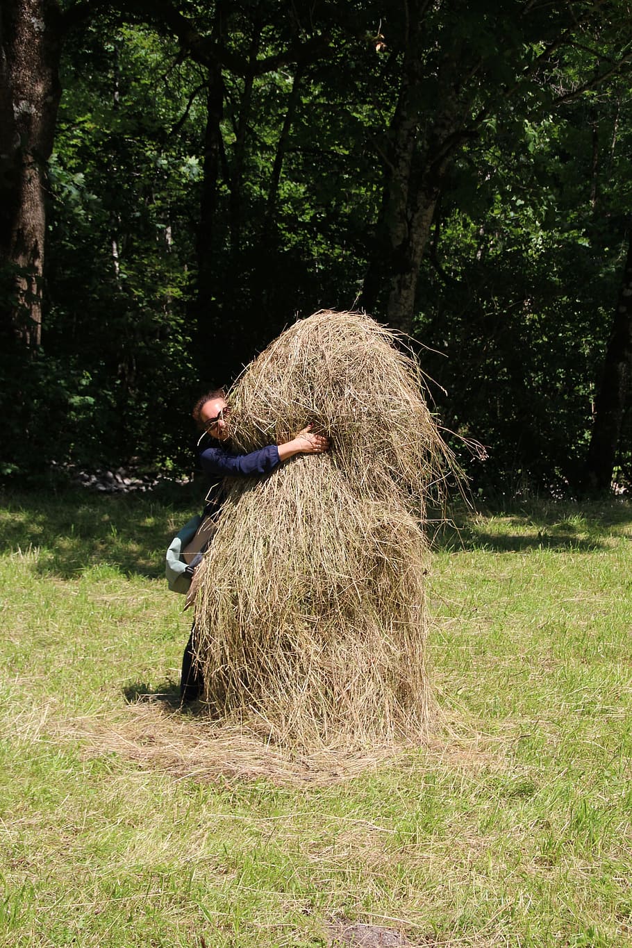 haystack, hay, feed, hide, plant, land, field, one person, tree, real people