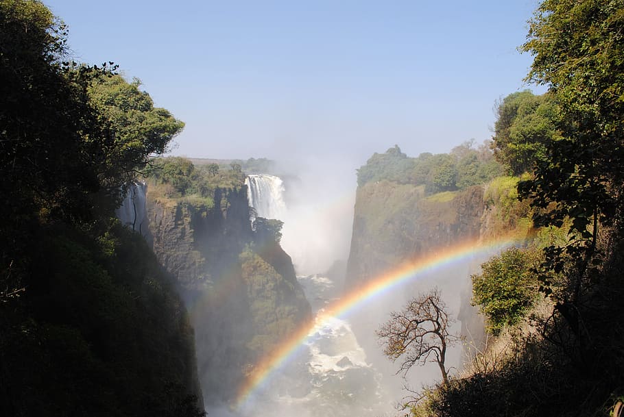 滝と木々, ビクトリアの滝, ジンバブエ, アフィルカ, 滝, 境界線, ザンベジ, 川, 虹, 木