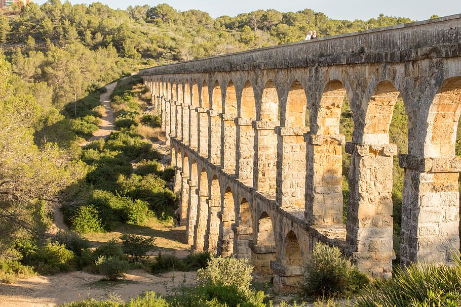aqueduct, tarragona, antiquity, devil's bridge, spain, plant, tree, built structure, architecture, nature