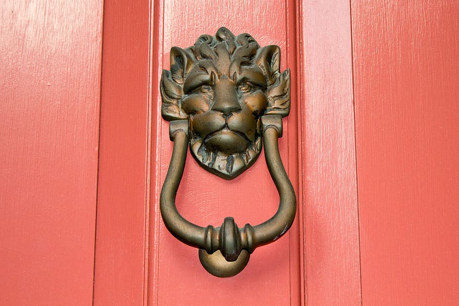 brown, steel door, handle, lion, south, charleston, door, knocker, brass, metal