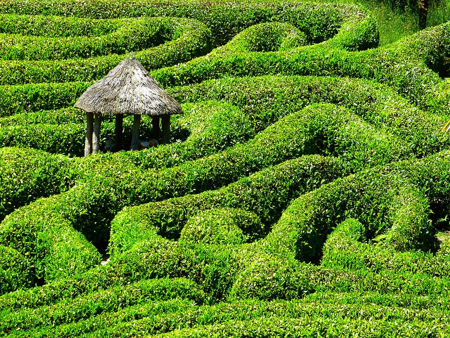 white, gazebo middle, plant labyrinth, maze, labyrinth, glendurgan, garden, cornwall, south gland, united kingdom