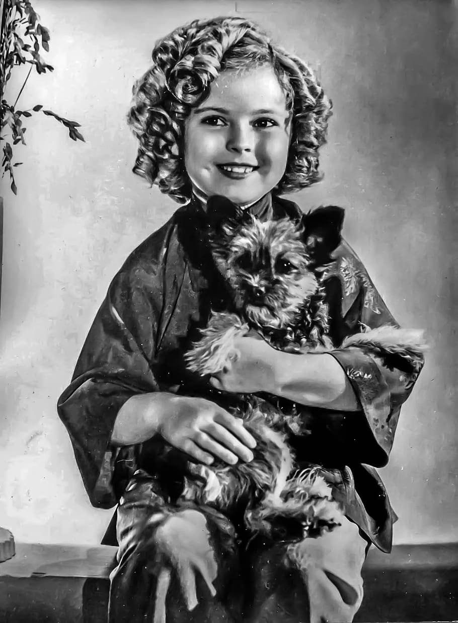 shirley temple, female, portrait, hollywood, film, tv, actress, women, looking at camera, real people