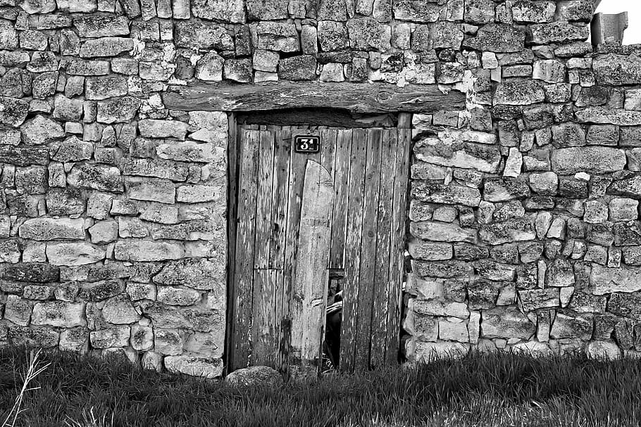 grayscale photo, closed, wooden, door, old, arc, background, texture, old wood, iron