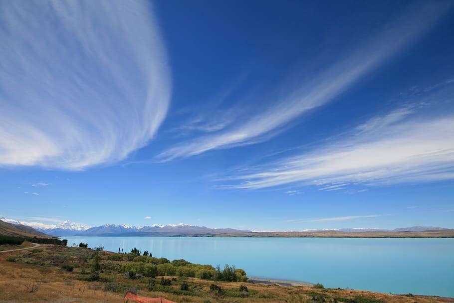 Pájaro, fotografía de la vista, árboles, cuerpo, agua, monte, monte Cook, Nueva Zelanda, lago, paisaje
