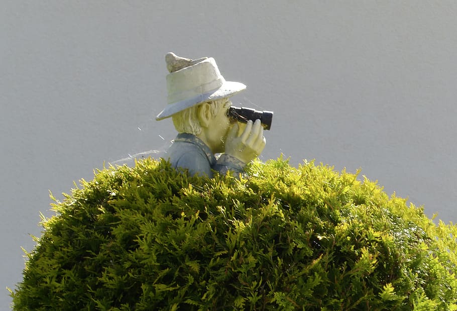 binoculars, bush, sensing, stalk, man, garden, figure, plant, green color, nature