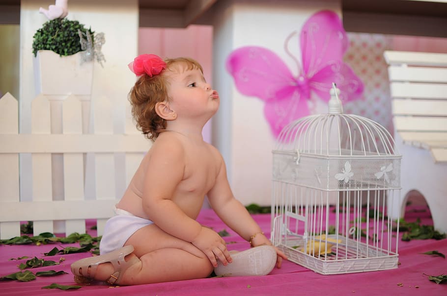 赤ちゃん, 白, ボトムス, 横に, 金属の鳥かご, ピンク, 表面, 子供の装飾, パーティー, 喜び