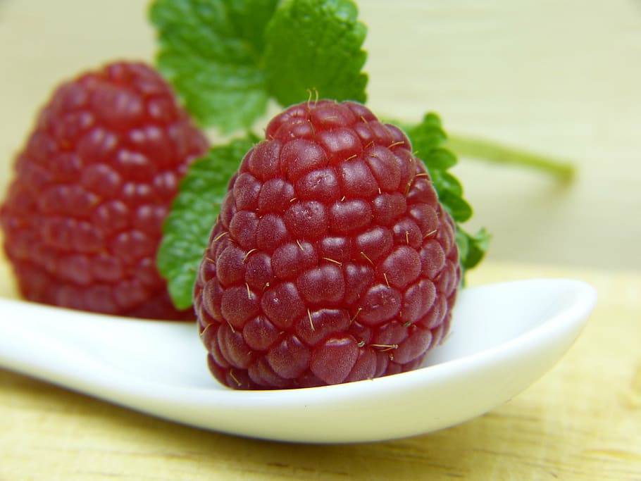 two, red, raspberries, white, ceramic, tray, raspberry, mint, fruit, frisch