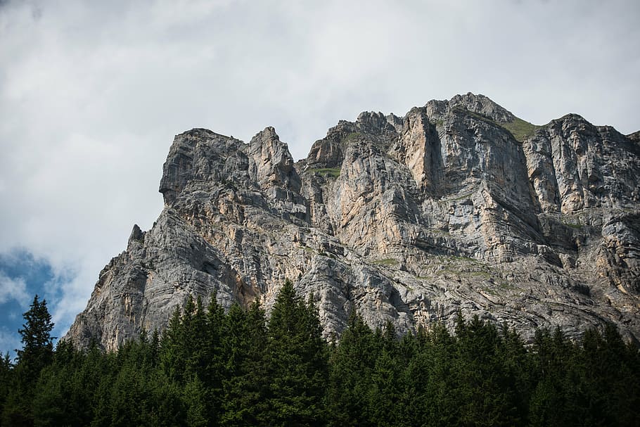Árboles, montaña, durante el día, gris, negro, rocoso, colina, rocas, verde, cresta