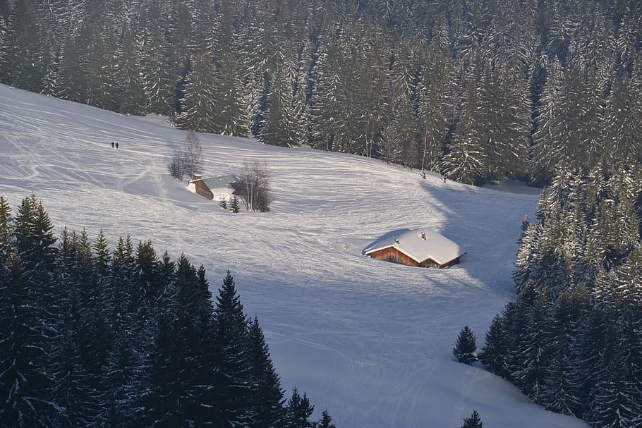 House, Snow, Ski, Alps, house under snow, ski, snow, winter, mountain, landscape, panorama