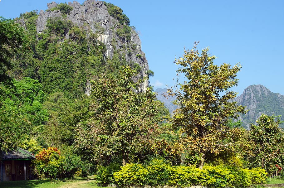 laos, vang vieng, relief, karst, temple, bleak, forest, nature, tree, mountain