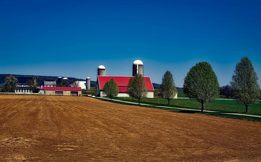 blanco, pintado, casa, rodeado, árboles, azul, cielo, granja, Amish, Pennsylvania
