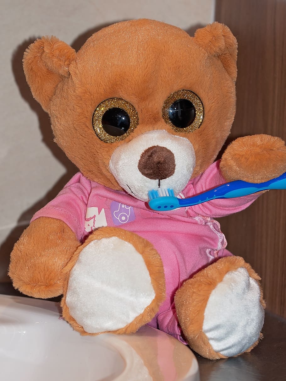 urso de pelúcia, brinquedo macio, bicho de pelúcia, urso, ursos, brinquedos, bonitinho, escova de dentes, escovar os dentes, close-up