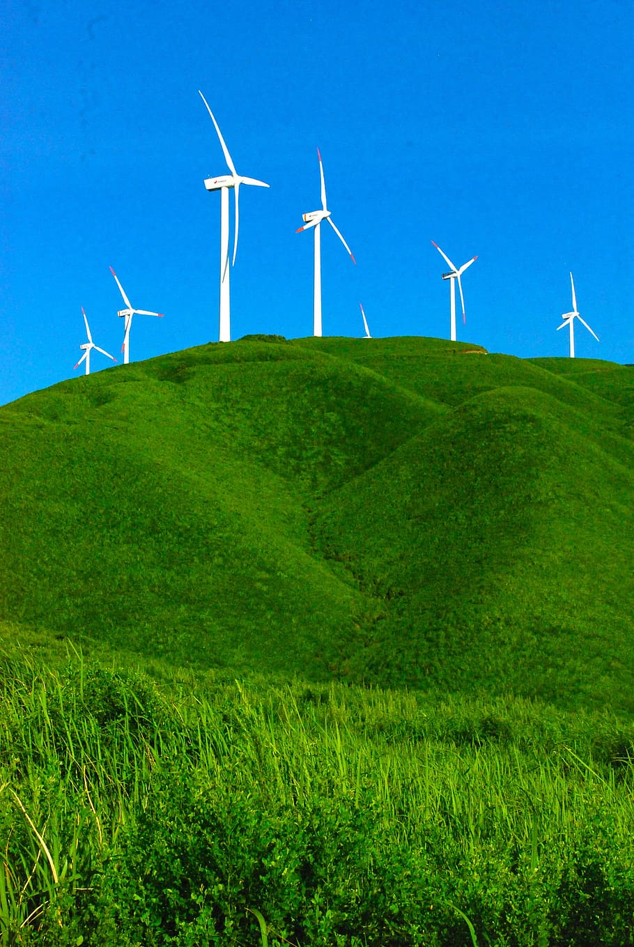 ветряные мельницы на холме, ветряная турбина, энергия, небо, ветер, ветряные турбины, возобновляемые источники энергии, устойчивое, синее, чистое