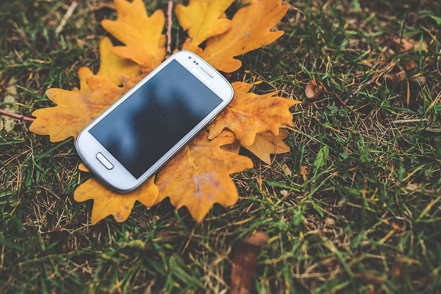 turned-off, white, samsung galaxy, iii mini, yellow, leafed, plant, technology, mobile, phone