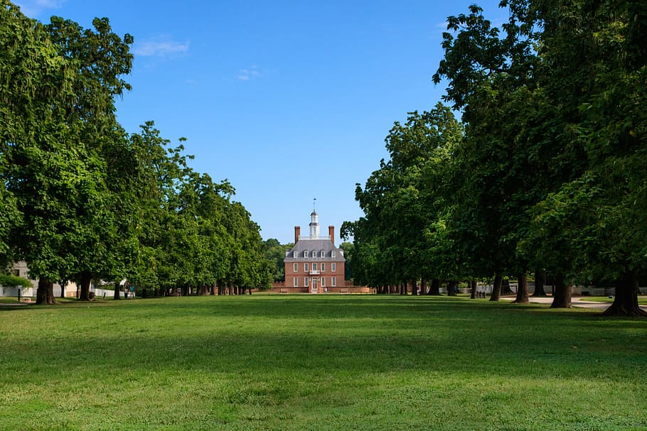 historical capital building, williamsburg, virginia, colonial, building, grass, plant, tree, architecture, built structure