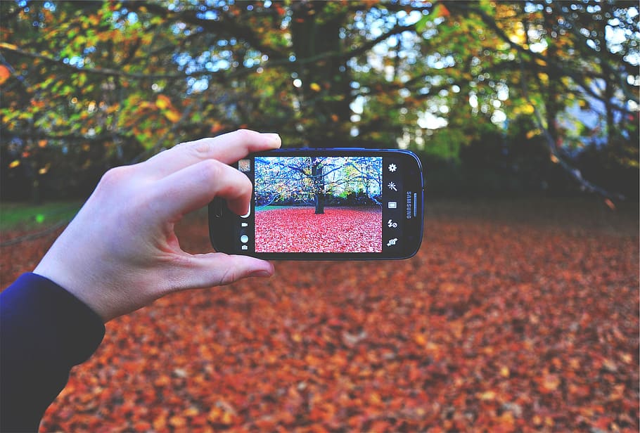 Samsung, galaxia, teléfono, móvil, pantalla, fotografía, fotógrafo, manos, otoño, hojas