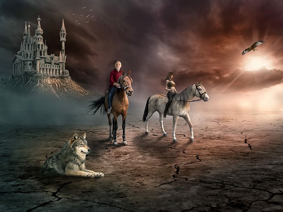 man, woman, horses, wolf, bird, human, fantasy, fairytale, mood, mystical