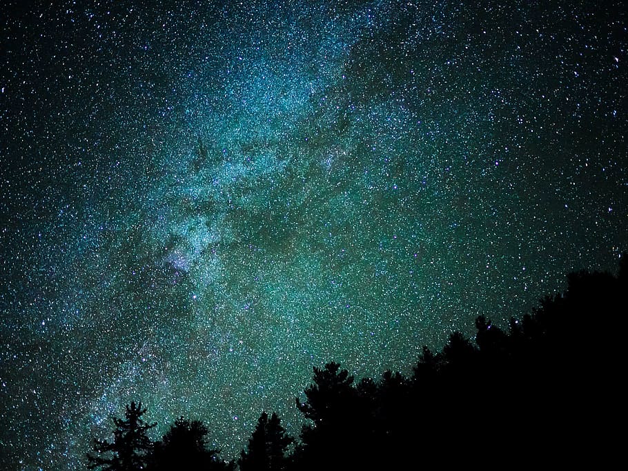 silhueta, árvores, noite estrelada, Via Láctea, foto, natureza, galáxias, estrelas, céu, escuro