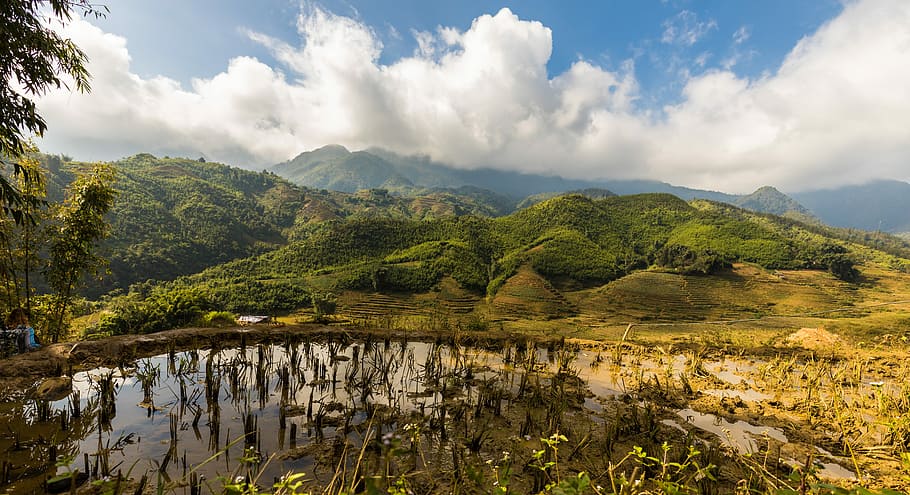 sapa, vietnam, campos de arroz, arroz, terrazas de arroz, campos de terrazas, naturaleza, montaña, panorama, paisaje