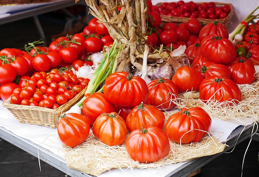santorini tomato